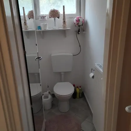 Boroka Vendeghaz Casa vacanze